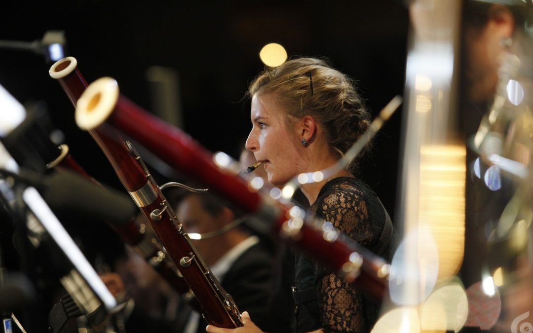 Mennyei harmóniák – július 1-jén kezdődik a Harmonia Albensis koncertsorozat